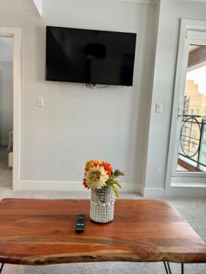 Stunning Riverview one bedroom Downtown apartment